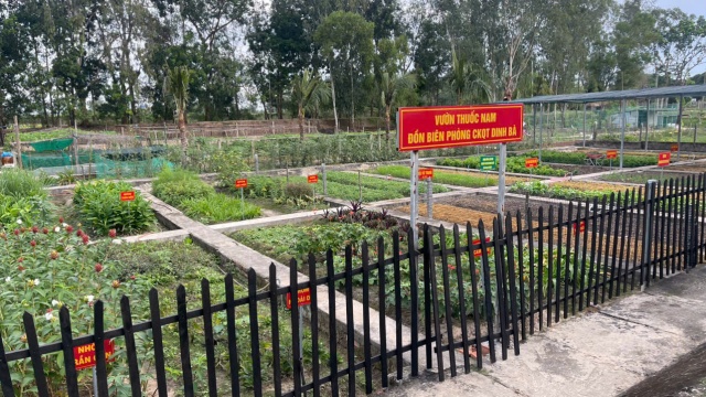 Phụ nữ và vai trò trung tâm trong xử lý rác hữu cơ tại gia đình